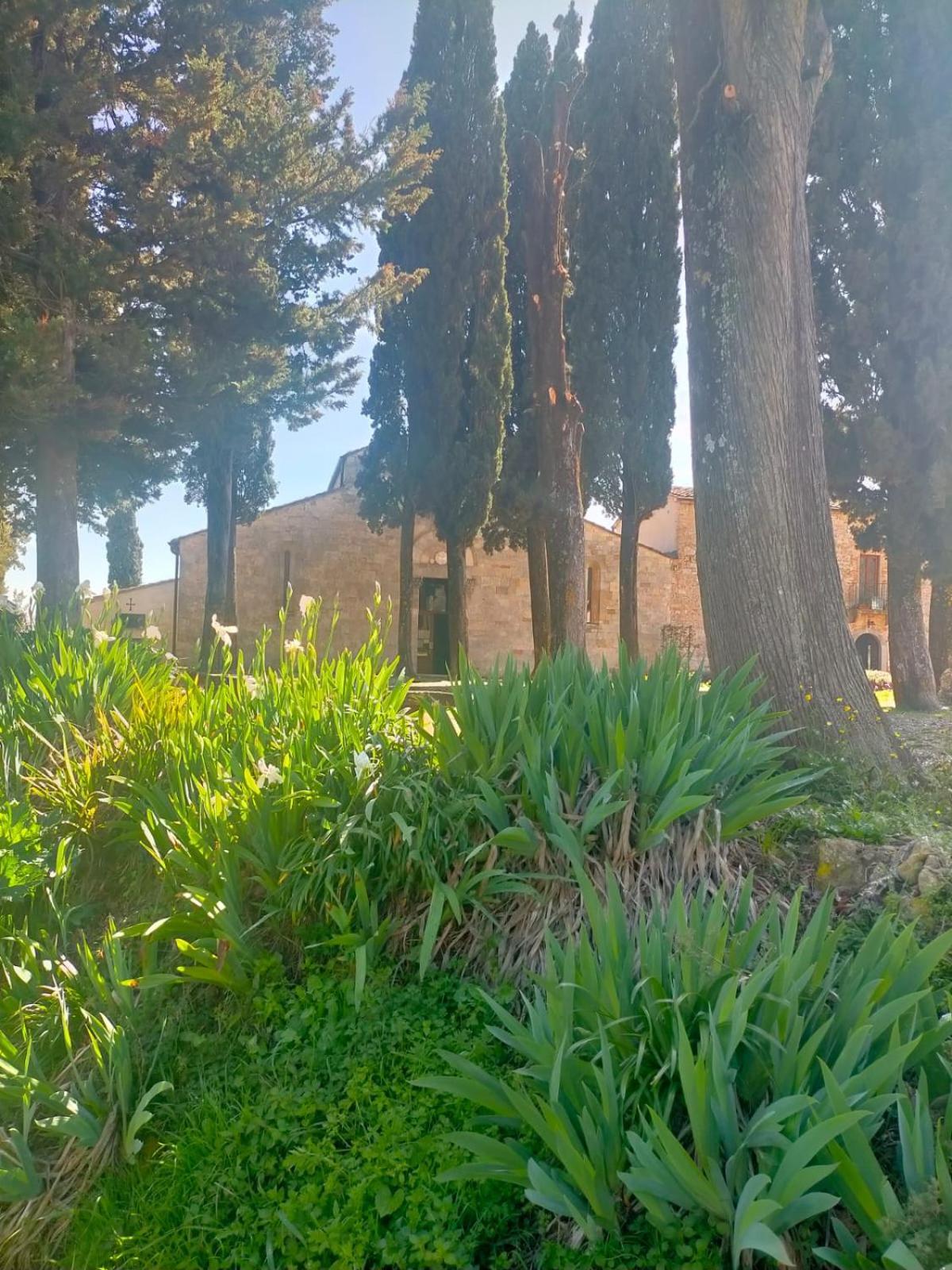 Cielo - Antica Casa Sulla Via Francigena Villa San Gimignano Kültér fotó